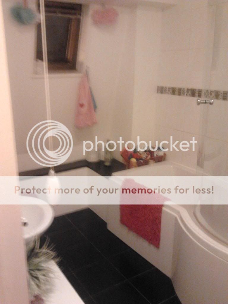 2013-01-10171125_zps639bf403.jpg