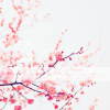 photo 119_zps452b2ce4.png