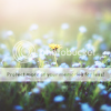 photo 123_zps301304cb.png