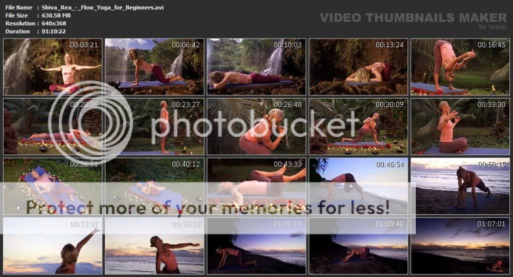 Jual Video Senam Yoga Murah Shiva Rea Flow Yoga for Beginnersavi zpsd74b2913 Jual Video Senam Yoga Murah
