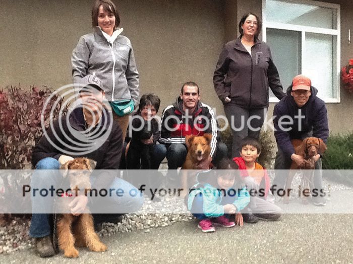 Mark and Stephanie Ducharme with their Airedale Terrier Ruby, Cheryl Murriello and her Labrador Rottweiler cross Jaxon, Adam Folley and his Golden retriever cross Echo and Jill and Dean Tanaka with their children and Viszla Bruno.