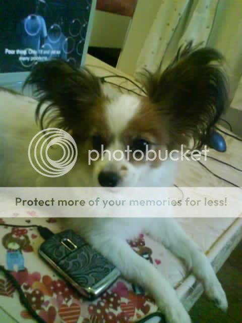 Photobucket